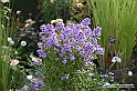 VBS_6636 - FLOREAL Ottobre 2022 - Tre giorni di fiori, piante e bellezza
